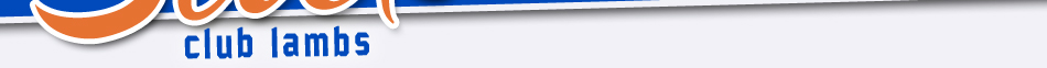 Slick Club Lambs
