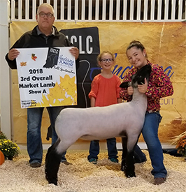 Slick CLub Lambs Winners