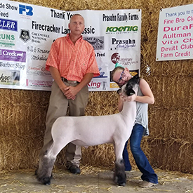 Slick CLub Lambs Winners