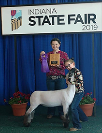 Slick CLub Lambs Winners