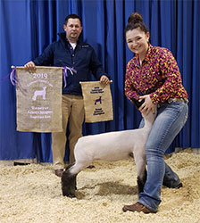 Slick CLub Lambs Winners