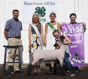 Slick Club Lambs Winners